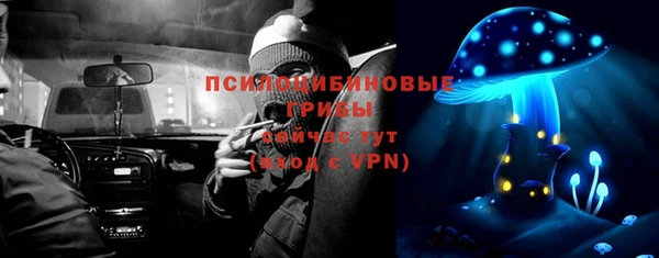 соль ск Алексин