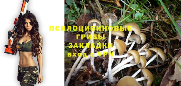 ешки Алексеевка
