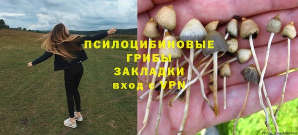 соль ск Алексин