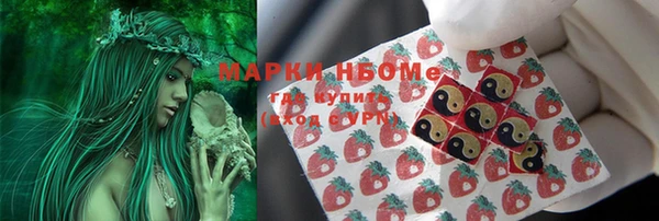 соль ск Алексин