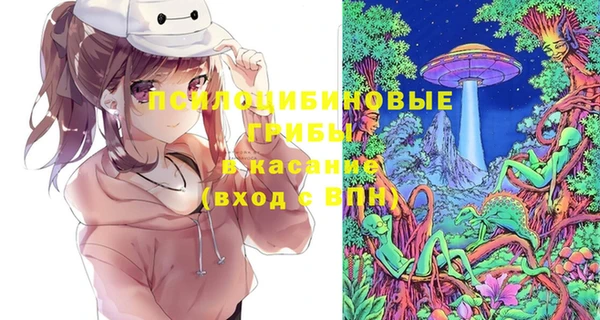 ECSTASY Дмитровск