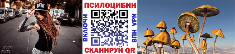 Псилоцибиновые грибы Cubensis Родники
